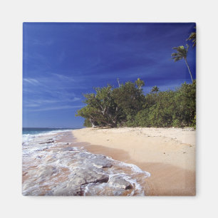 Fiji eilanden, Tavarua. Dit strand op Tavarua, Magneet