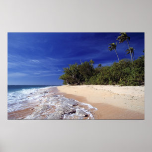 Fiji-eilanden, Tavarua. Dit strand op Tavarua, Poster