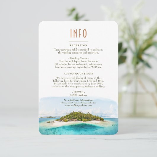 Fiji Island Destination Insert INFO Details Kaart (Staand voorkant)