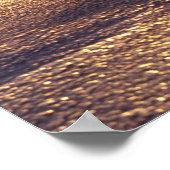 Fiji Islands, er zijn nog steeds dergelijke schelp Poster (Hoek)