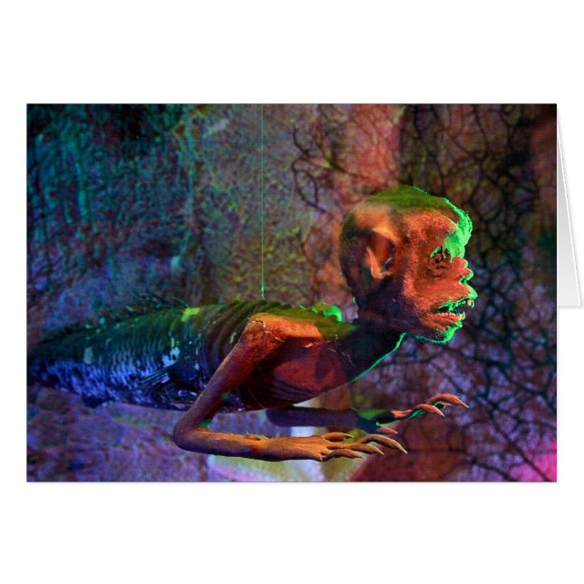 Fiji Mermaid (Voorkant Horizontaal)