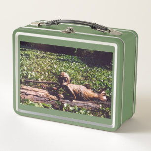 Fiji Mermaid Lunch Box beroemd gemaakt door Juan C