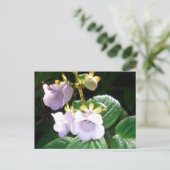 Fiji Paarse Orchid Briefkaart (Staand voorkant)