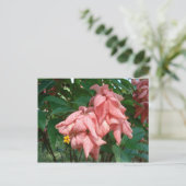 Fiji Roze en Geel Briefkaart (Staand voorkant)