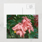 Fiji Roze en Geel Briefkaart (Voorkant / Achterkant)