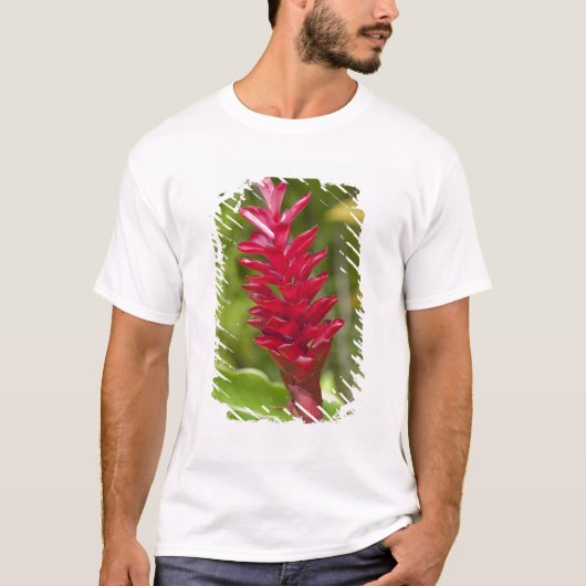 Fiji, Viti Levu eiland. Bloem. T-shirt (Voorkant)
