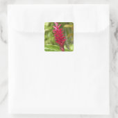 Fiji, Viti Levu eiland. Bloem. Vierkante Sticker (Tas)