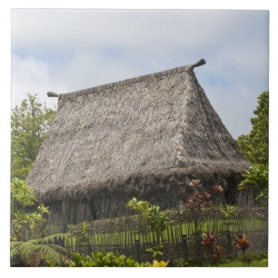 Fiji, Viti Levu eiland. Polynesische Cultureel Tegeltje