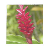 Fiji, Viti Levu Island. Bloem. Notitieblok (Voorkant)