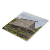 Fiji, Viti Levu Island. Polynesiaanse cultuur Tegeltje (Zijkant)