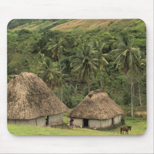 Fiji, Viti Levu, Navala, Traditional Bure houses Muismat