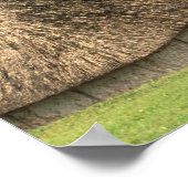 Fiji, Viti Levu, Navala, Traditional Bure houses Poster (Hoek)