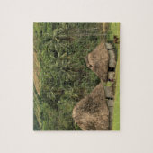 Fiji, Viti Levu, Navala, traditionele Bure-huizen Legpuzzel (Verticaal)