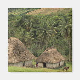 Fiji, Viti Levu, Navala, traditionele Bure-huizen Magneet