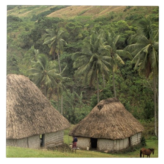 Fiji, Viti Levu, Navala, traditionele Bure-huizen Tegeltje (Voorkant)