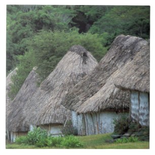 Fiji, Viti, traditionele hutwoningen. Tegeltje