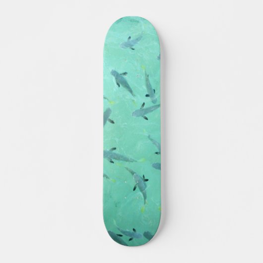 Fiji zwemt in helder blauw skateboard (Voorkant)
