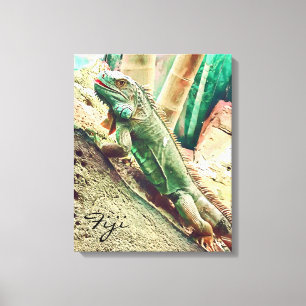 Fijian Iguana lizard reptiel Canvas Afdruk
