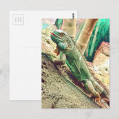 Fijian Iguana lizard reptile Briefkaart (Voorkant / Achterkant)