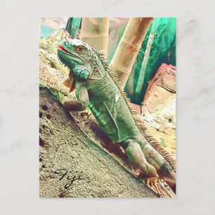 Fijian Iguana lizard reptile Briefkaart