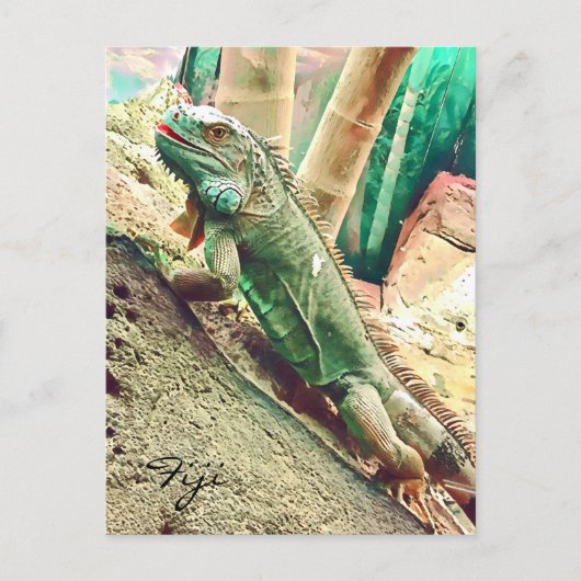 Fijian Iguana lizard reptile Briefkaart (Voorkant)