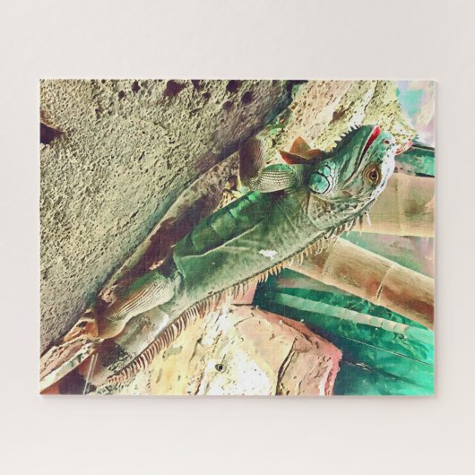 Fijian Iguana lizard reptile Legpuzzel (Horizontaal)