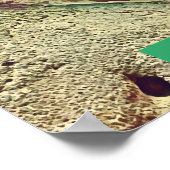 Fijian Iguana lizard reptile Poster (Hoek)