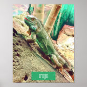 Fijian Iguana lizard reptile Poster (Voorkant)