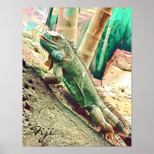 Fijian Iguana lizard reptile Poster