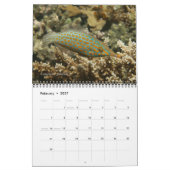 Fijian Reef FishCalendar 1 Kalender (Feb 2027)