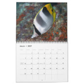 Fijian Reef FishCalendar 1 Kalender (Mar 2027)