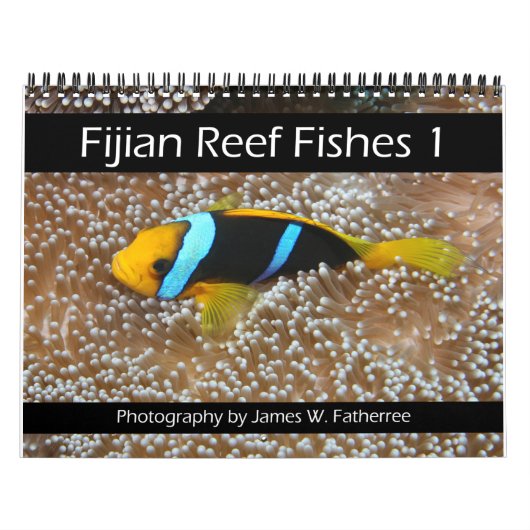 Fijian Reef FishCalendar 1 Kalender (Hoes)