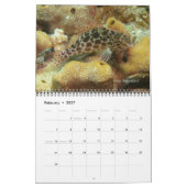 Fijian Reef Fishkalender 2 Kalender (Feb 2027)