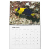 Fijian Reef Fishkalender 2 Kalender (Jan 2027)