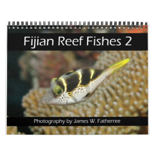 Fijian Reef Fishkalender 2 Kalender
