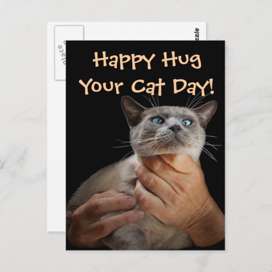 Fijn dat je je kat laat zien. briefkaart (Voorkant / Achterkant)