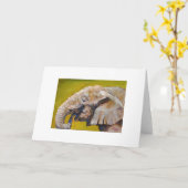 Fijn de kunstwenskaart van de olifant kaart (Gele Bloem)