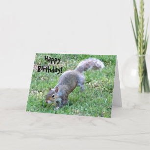 Fijn, verjaardag! Eekhoornachtige Kaart