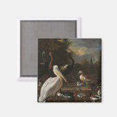 Fijnboomvogels Magneet (Voorkant / Achterkant)