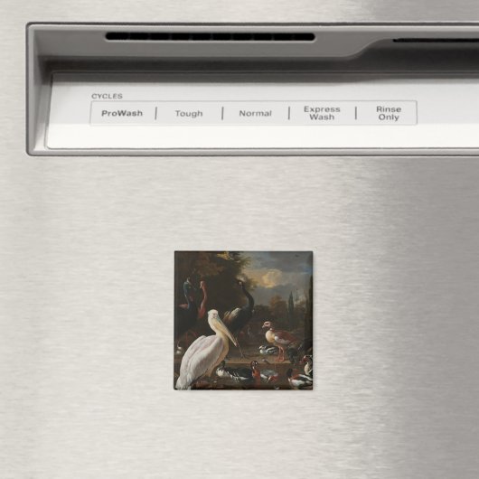 Fijnboomvogels Magneet (Insitu (Vaatwasser))