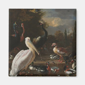 Fijnboomvogels Magneet (Voorkant)