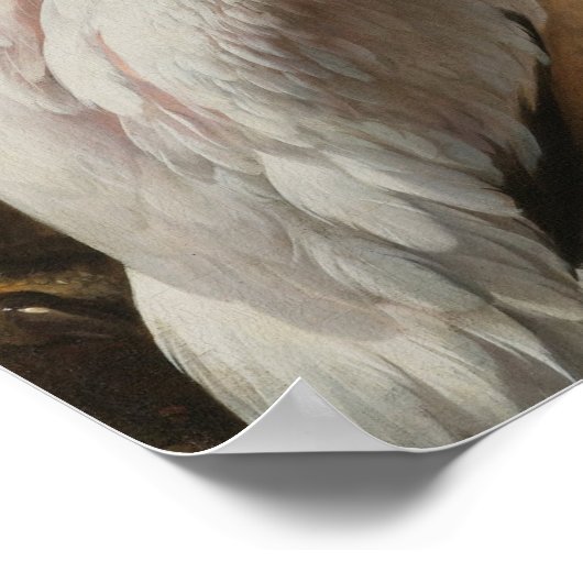 Fijnboomvogels Poster (Hoek)