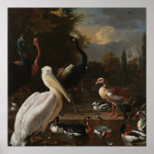 Fijnboomvogels Poster (Voorkant)