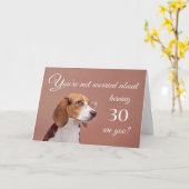 Fijne 30ste verjaardag, ongerust beagle kaart (Gele Bloem)