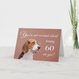 Fijne 60ste verjaardag, bezorgd beagle kaart