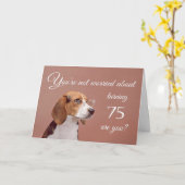 Fijne 75ste verjaardag, bezorgd beagle kaart (Gele Bloem)