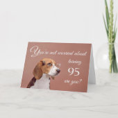 Fijne 95ste verjaardag, bezorgd beagle kaart (Voorkant)