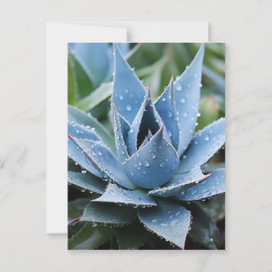 Fijne Agave Botanische Fotorealistische Digitale K Briefkaart