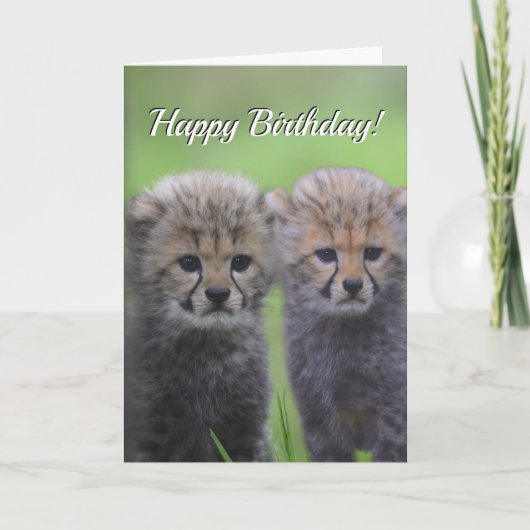 Fijne Birthday Cute Cheetah Verwant Cubs Kaart (Voorkant)