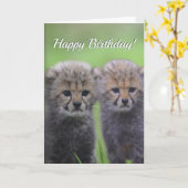 Fijne Birthday Cute Cheetah Verwant Cubs Kaart (Gele Bloem)